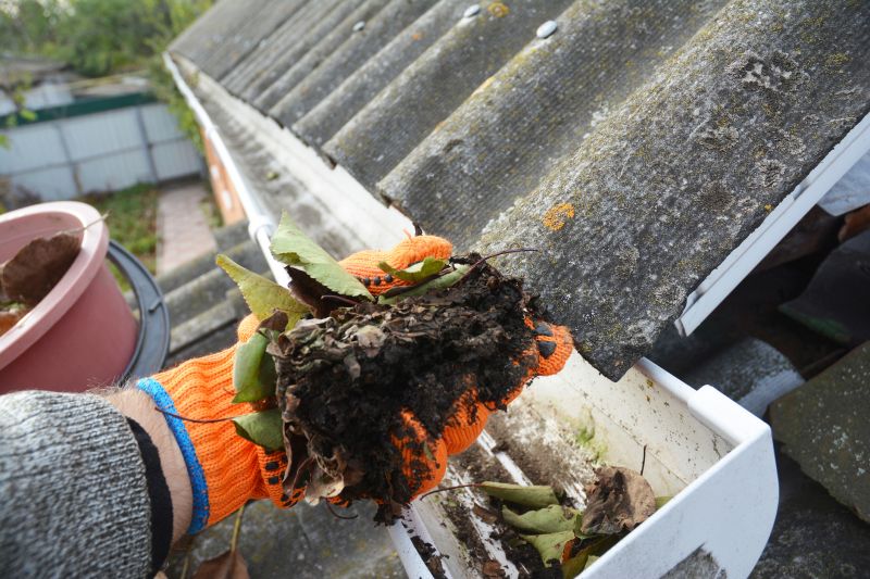 Clogged Gutter Clearing in Frederick, MD