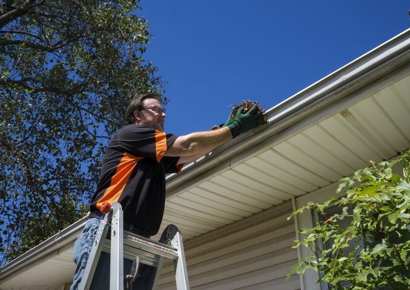 Gutter Leaf Clearing in Boulder, CO