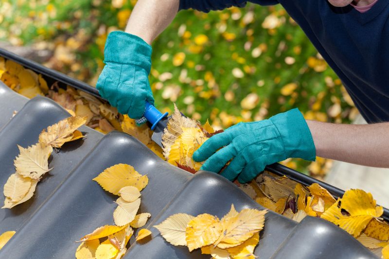Commercial Gutter Cleaning in Denver County, CO