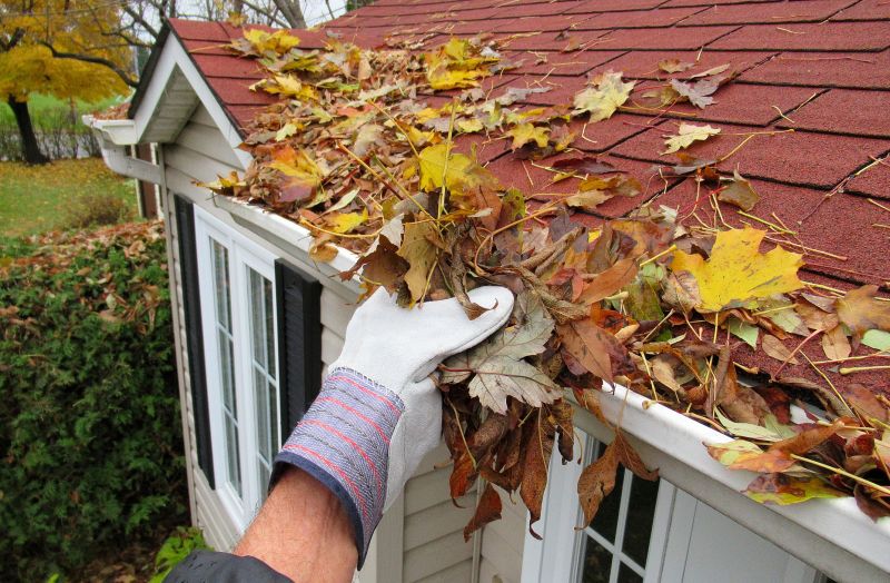 Downspout Cleaning in Arvada, CO
