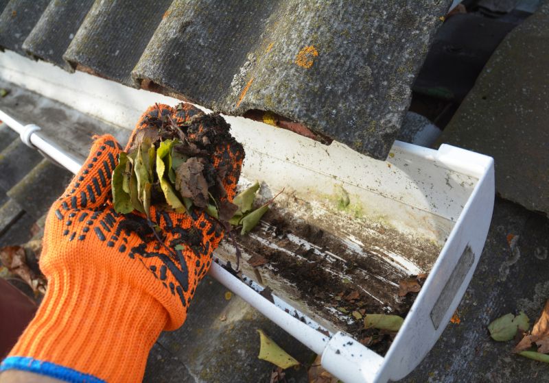 Garage Gutter Cleaning in Rochester, NY
