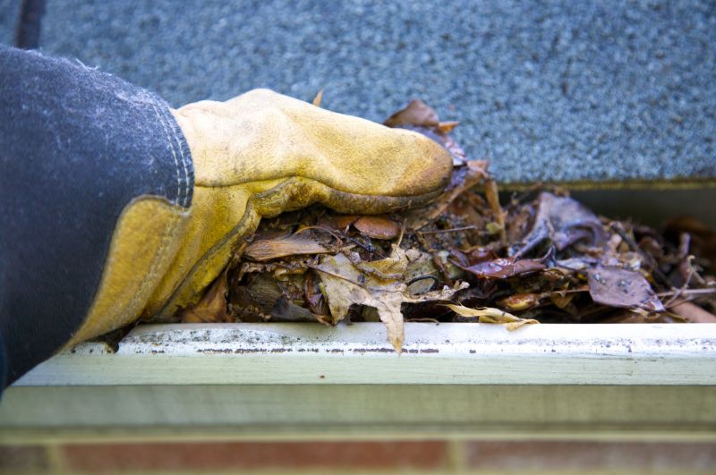 Gutter Blockage Removal in Richmond, VA