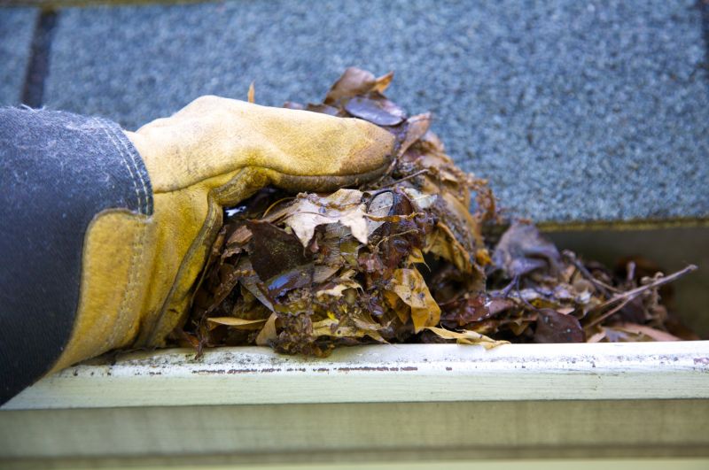 Gutter Leaf Clearing in Monmouth County, NJ