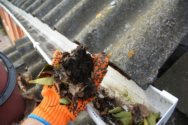 Gutter Leaves Removal in Boulder, CO