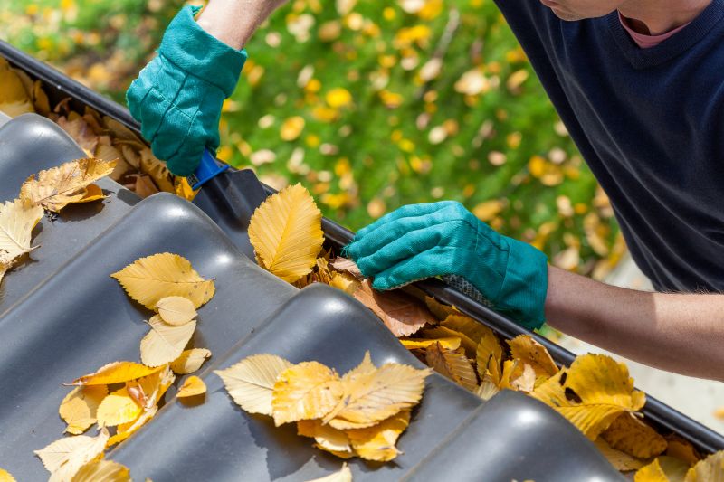 Gutter Leaves Removal in Long Island, NY