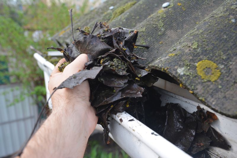 Gutter Maintenance in Arvada, CO