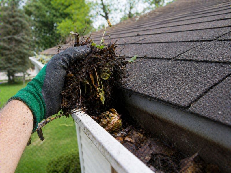 Gutter Pine Needle Removal in Fredericksburg, VA