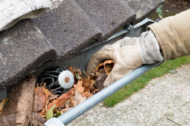 Rain Gutter Clearing in Monmouth County, NJ