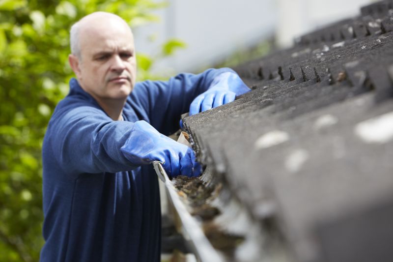 Roof Gutter Cleaning in Baltimore, MD
