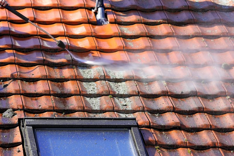 Roof Soft Washing in Vancouver, WA